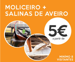 passeio de barco em Aveiro com visita às salinas de Aveiro